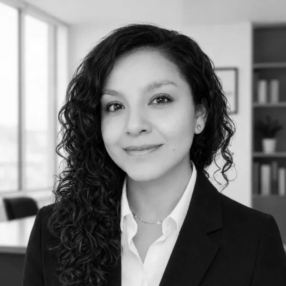 Retrato profesional de la Lic. Leily Torres, abogada de migración en México